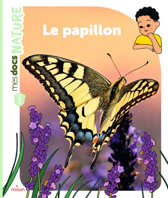 Couverture de Le papillon