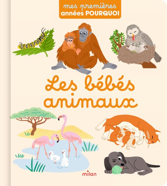 Couverture de Les bébés animaux 