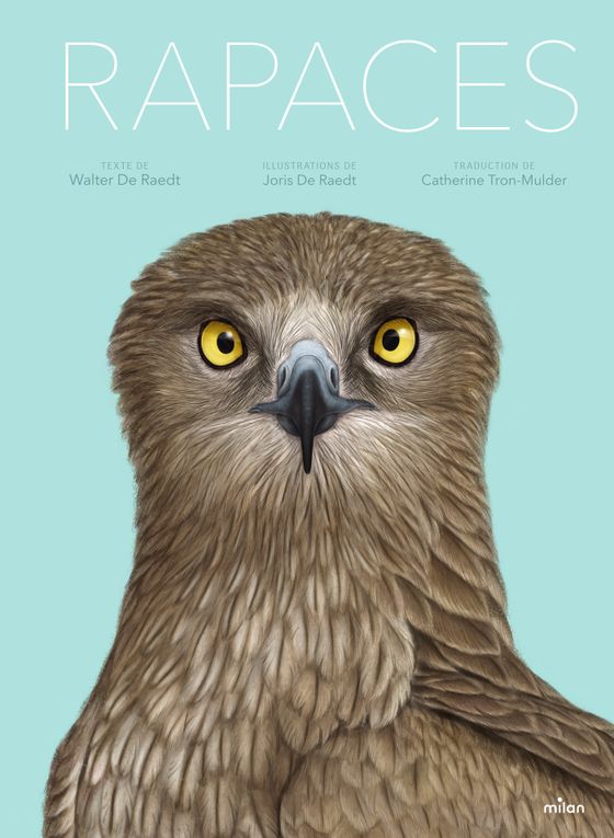 Couverture de Rapaces