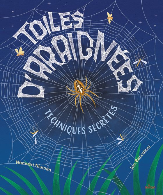 Couverture de Toiles d’araignées : techniques secrètes
