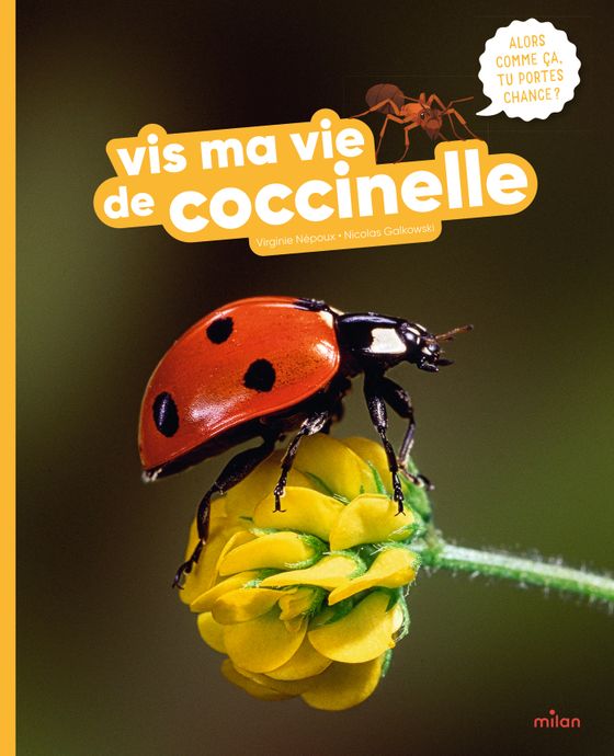 Couverture de Vis ma vie de coccinelle