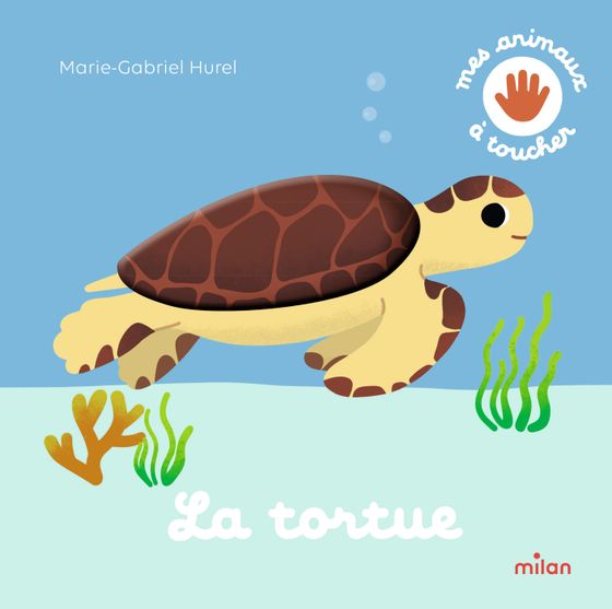 Couverture de La tortue