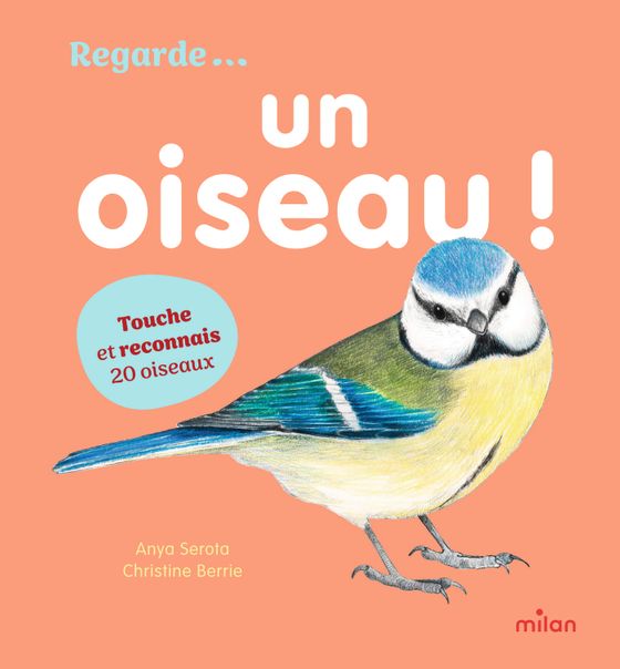 Couverture de Un oiseau !