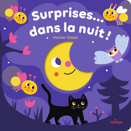 Couverture de Surprises... dans la nuit ! 