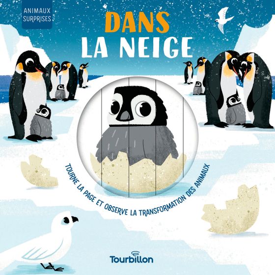 Couverture de Dans la neige