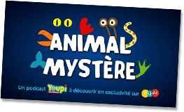 Animal Mystère