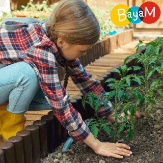 capture vidéo Mon premier potager : Comment installer une plante au jardin dans l'application Bayam capture vidéo Mon premier potager : Comment installer une plante au jardin dans l'application Bayam