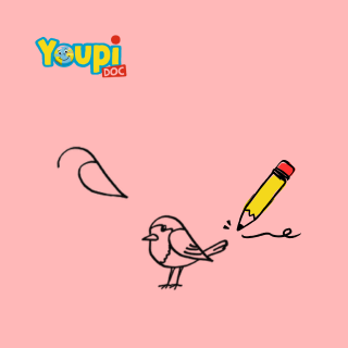 Crédits : « J’apprends à dessiner un rouge-gorge », Youpi n°368 mai 2019. Illustration : Carole Gauthier. Crédits : « J’apprends à dessiner un rouge-gorge », Youpi n°368 mai 2019. Illustration : Carole Gauthier.