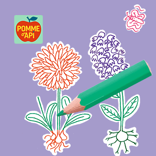 Crédits : “Dessus, dessous… ça pousse !”, Pomme d’Api n°651, mai 2020. Conception et texte : Marie-Pascale Nicolas-Cocagne. Illustrations : Nathalie Desforges.