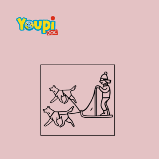 Crédits : “J’apprends à dessiner des chiens de traîneau”, Youpi n°389 février 2021. Illustrations : Lucie Parkes.