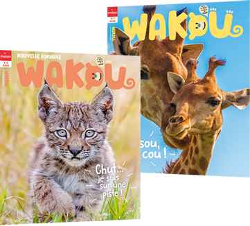couvertures du magazine Wakou, le magazine pour les petits curieux de nature