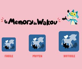 Jeu - Le memory de Wakou