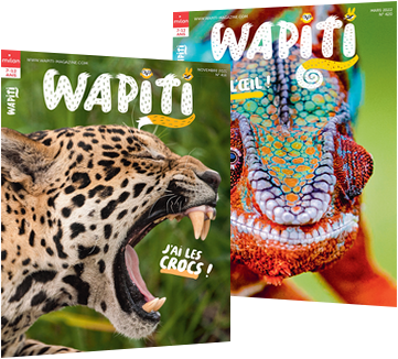 couvertures du magazine Wapiti, le magazine sur les animaux préféré des enfants