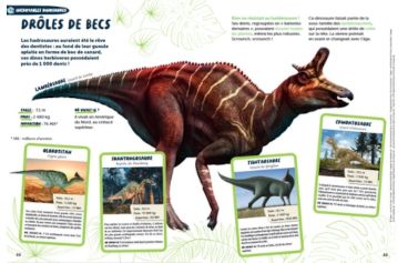 Incroyable dinosaures, Hors-série Défi nature Wapiti