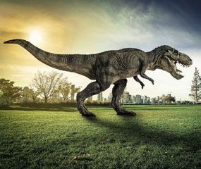 Le T-rex, un des plus grands prédateurs de tous les temps