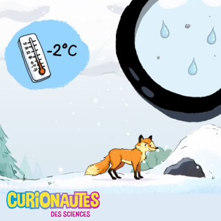 Vidéo des Curionautes : © Illustrations : Rémy Nardoux – Milan Presse Vidéo des Curionautes : © Illustrations : Rémy Nardoux – Milan Presse