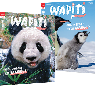 couvertures du magazine Wapiti, le magazine sur les animaux préféré des enfants