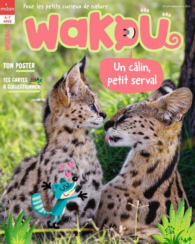 Abonnement magazine Wakou
