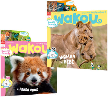 couvertures du magazine Wakou, À l'aventure dans la nature !