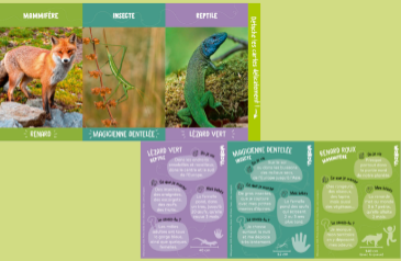 Les cartes animaux