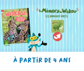 Memory : les animaux rayés !